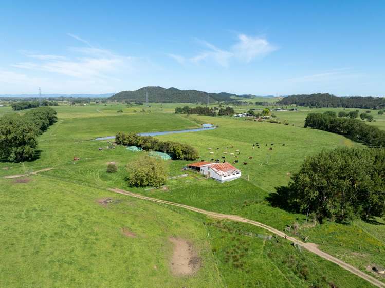 1230 Tauhei Road Morrinsville_6