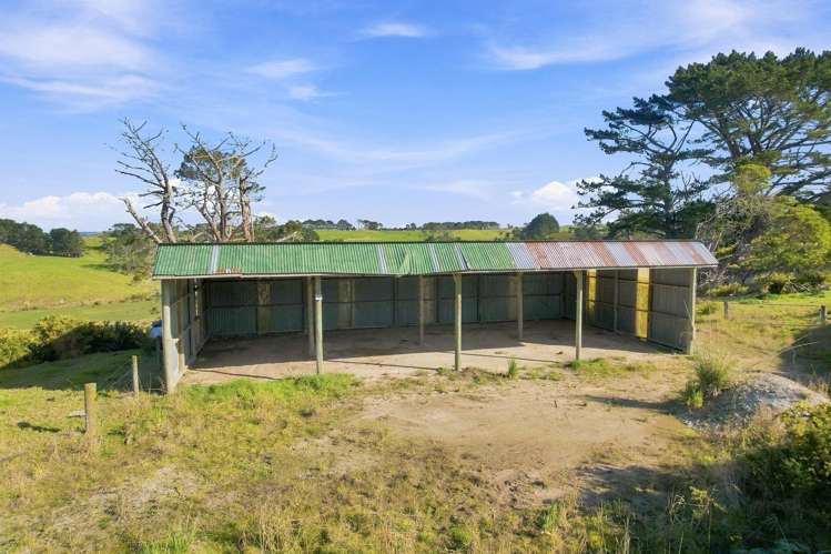 113 Tatarariki Spur Road_3