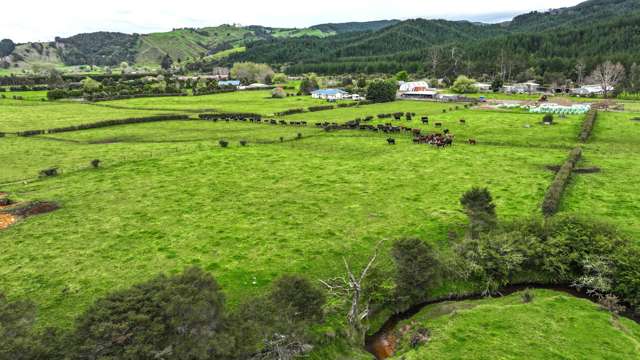 250 Puriri Valley Road Puriri_3