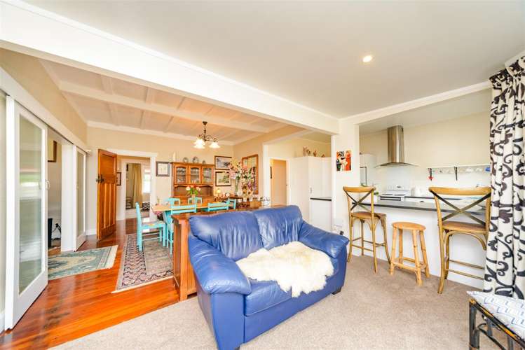 60 Johnson Street Bulls_3