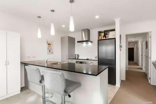 33 Hemopo Street Pukekohe_3