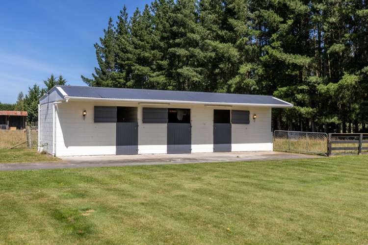 137 Mchughs Road Swannanoa_19