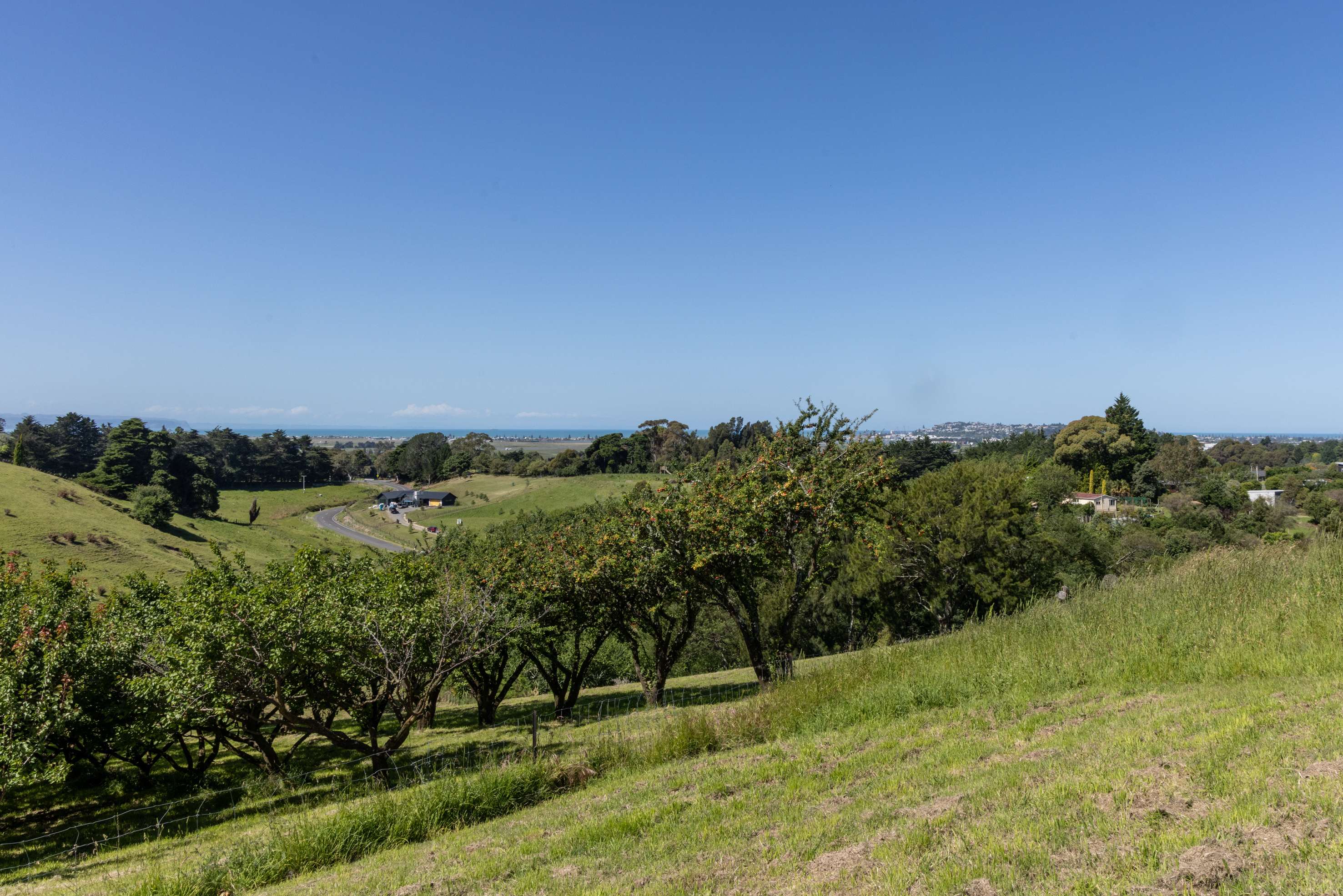 Lot 2/226 Puketitiri Road Poraiti Napier City Houses for Sale