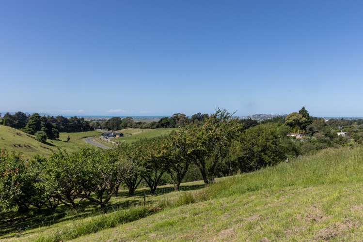 Lot 2/226 Puketitiri Road Poraiti_6