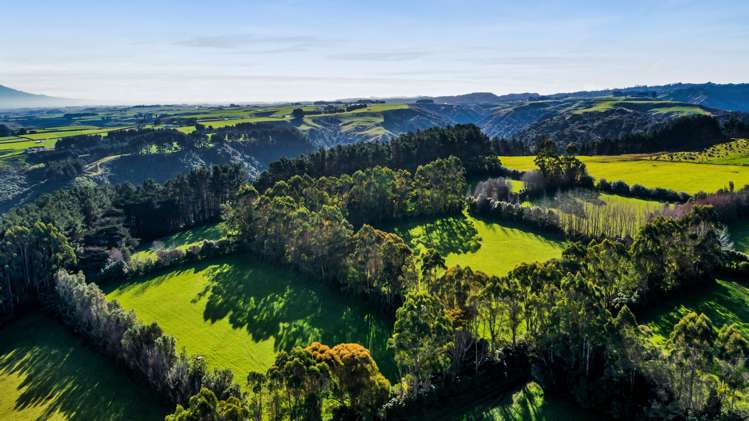 709 Ingahape Road Ohangai_6