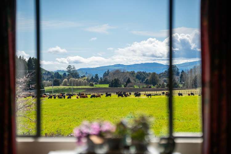 23 Onematua Road Owhango_8