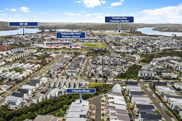 1 Gecko Road Hobsonville_23