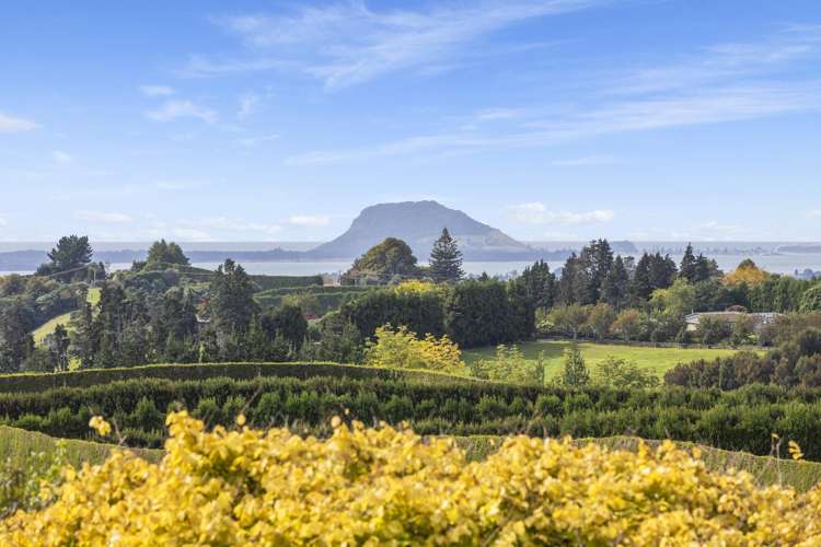 51 Sinclair Road Whakamarama_29