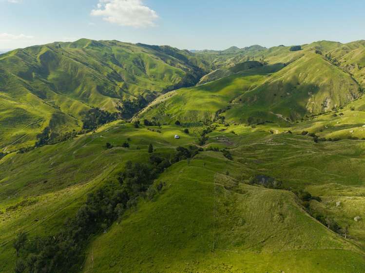 Matawai Station, 772 Oliver Road Matawai_14