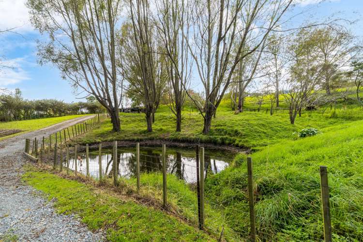 4b Dowson Place Kaiwaka_3