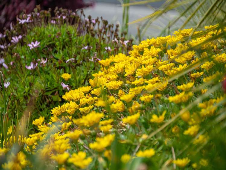 30 Discovery Drive Gulf Harbour_16