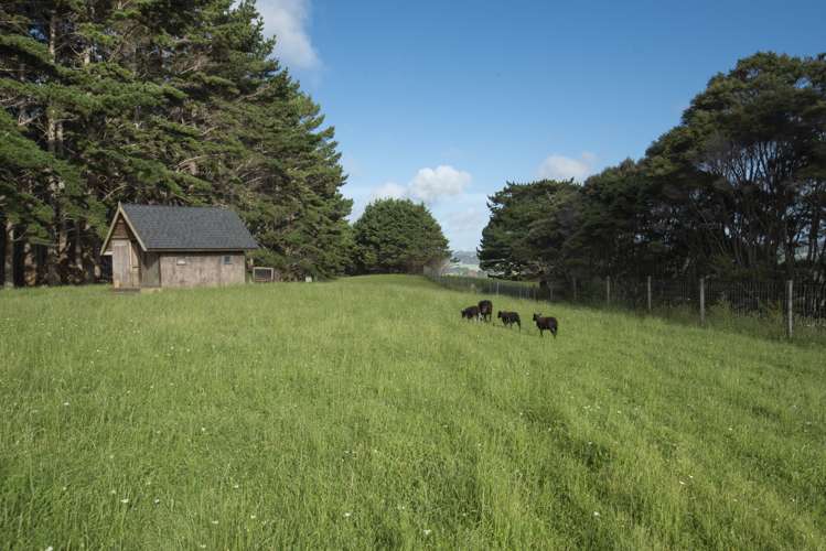 132b Dormer Road Waitoki_21