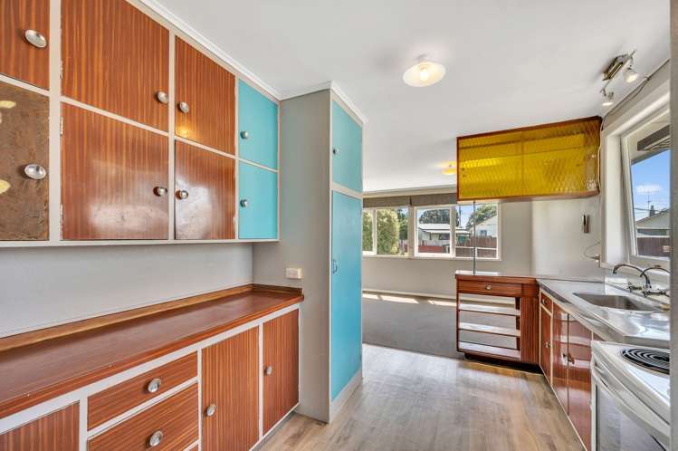 47A Geddis Ave Maraenui_11