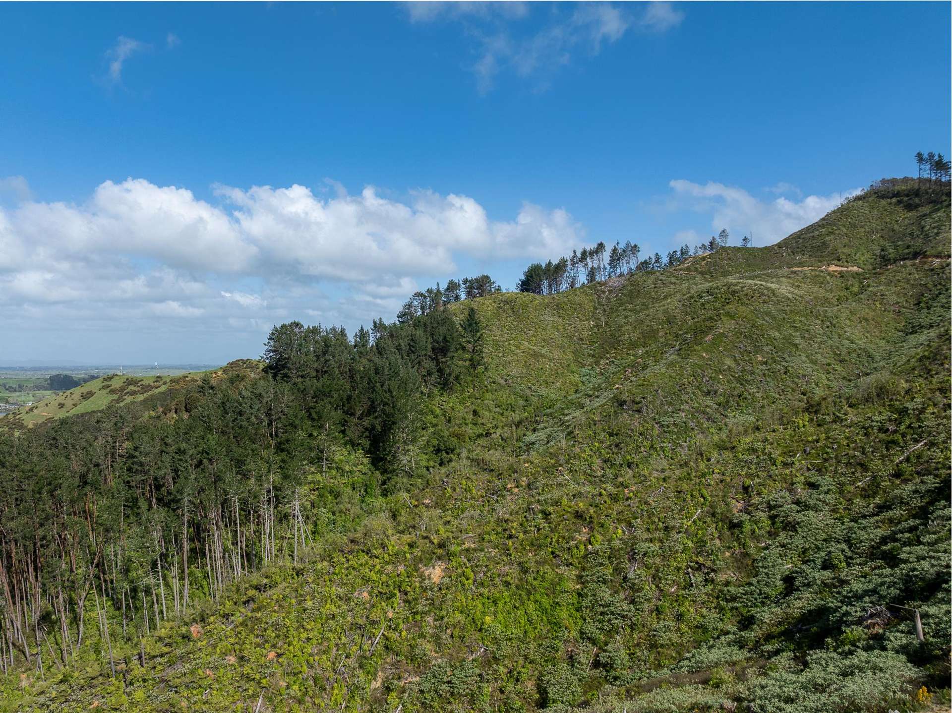 841C Hakarimata Road Huntly_0