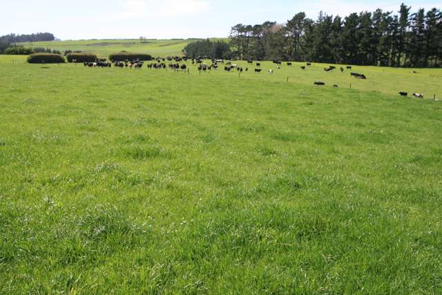 178 Omahuru Road Okaiawa_4