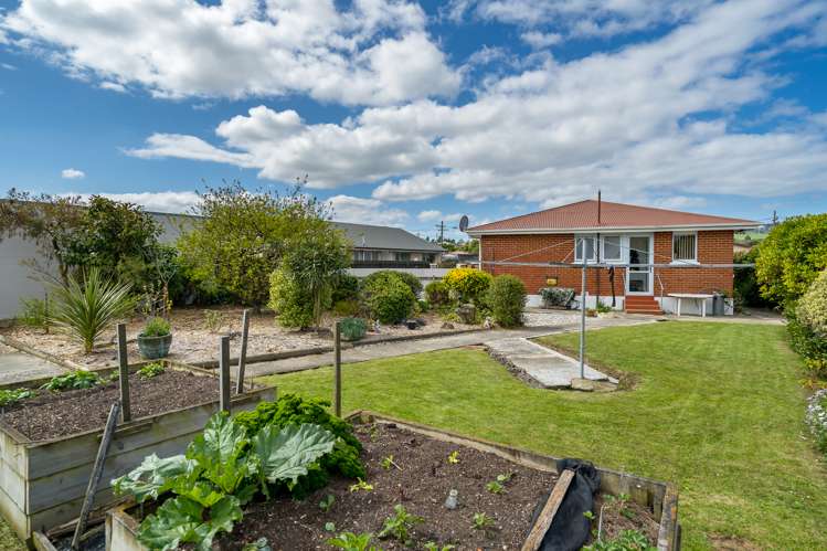 4 Vampire Road Waldronville_12