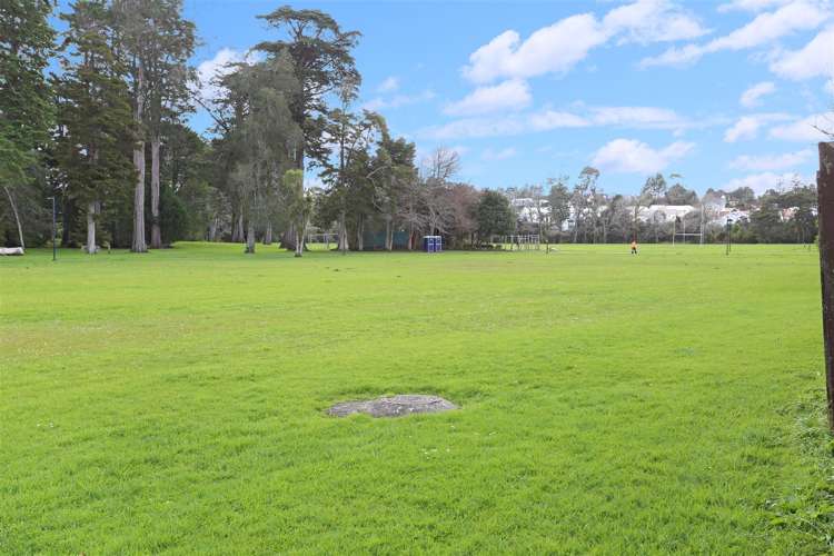 49 Wilsher Crescent Henderson_7