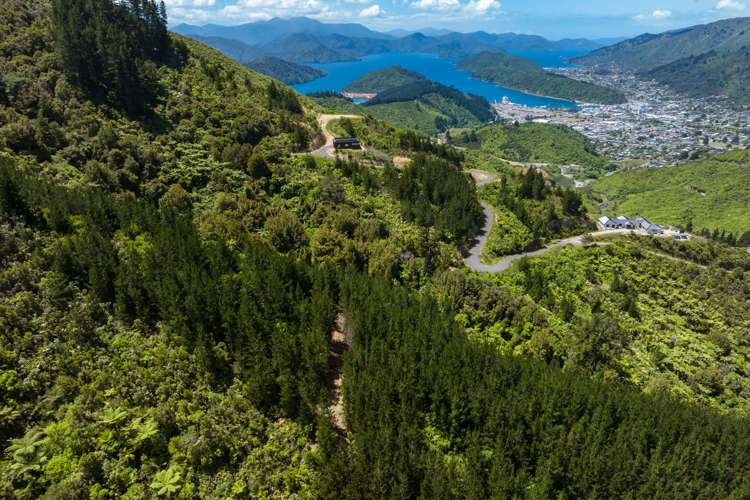 304 State Highway 1 Anakiwa and Surrounds_15