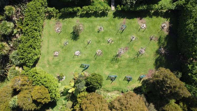 828 Dover Road Okato_35