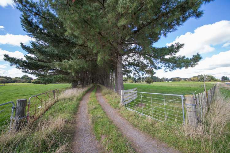 473 Lees Road Feilding_13