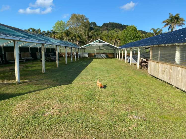 798 Woodcocks Road Kaipara Flats_32