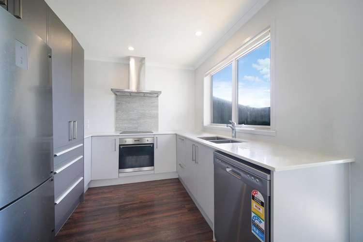 20 Koropupu Street Pukekohe_1