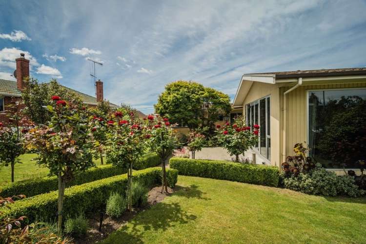149 Evans Street Waimataitai_3