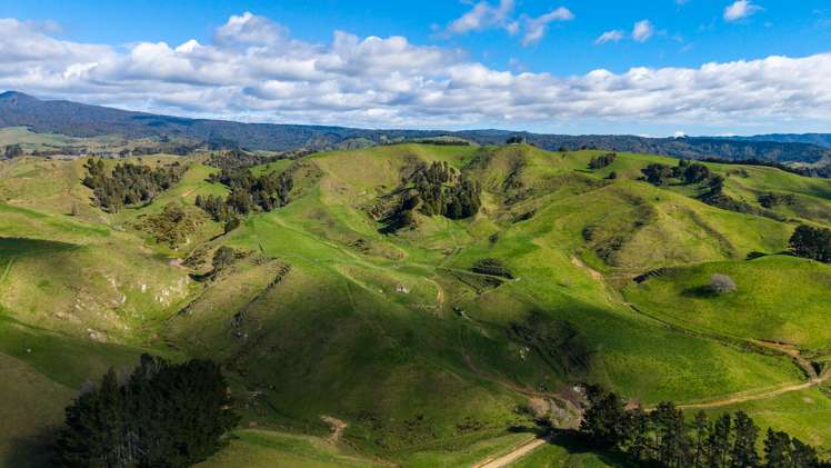 1026 Limeworks Loop Road Te Pahu_9
