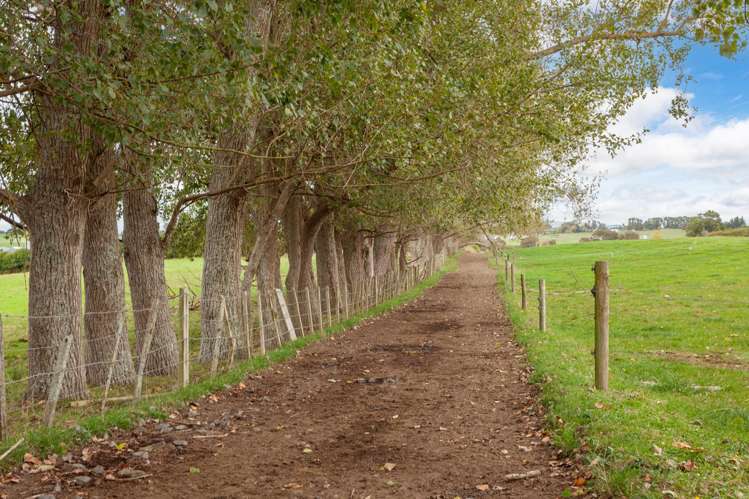 585 Morrinsville-Tahuna Road Morrinsville_18