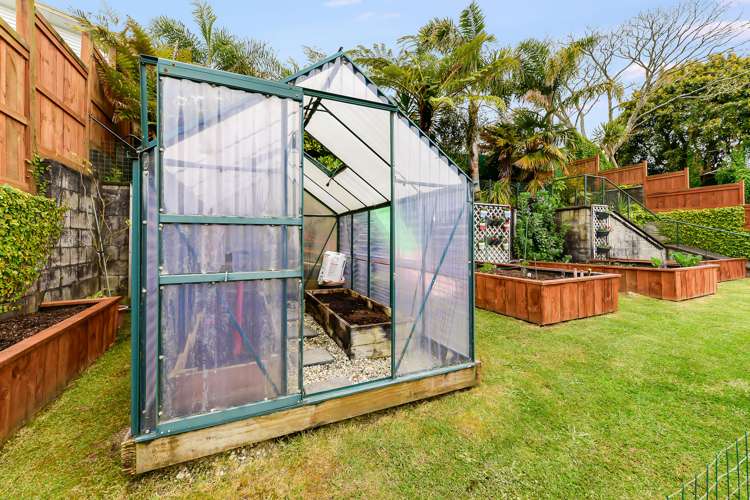 18 Galway Avenue Hamilton East_17