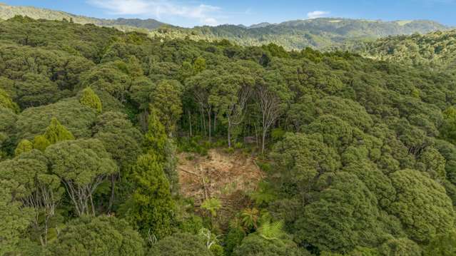 252 Piha Road Piha_2