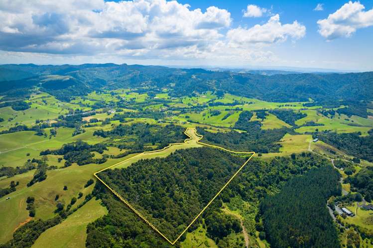 68B Ward Road Matakana_9