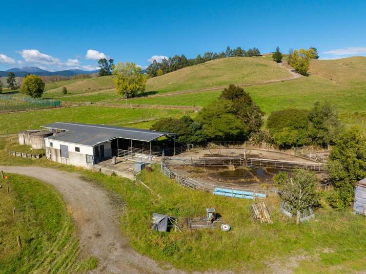 229 Teapot Valley Road Brightwater_9