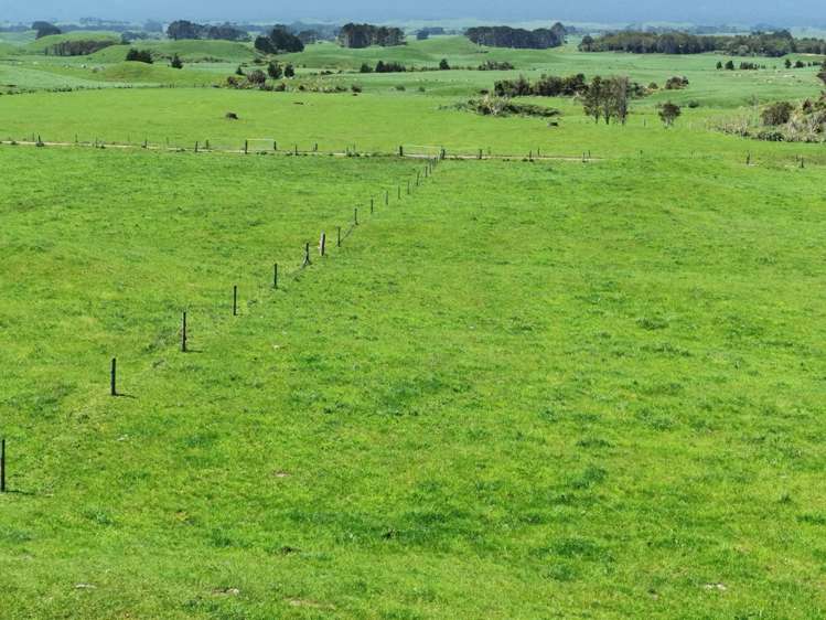 531 Ngariki Road Rahotu_15