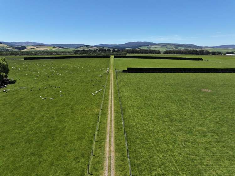 389 Mckenzie Road Browns_20