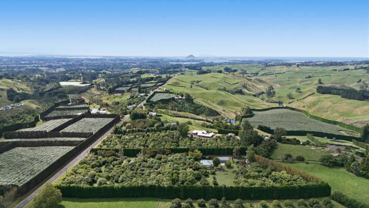 151a Hereford Road Oropi_23