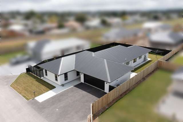 4 Mirren Lane Tinwald_1