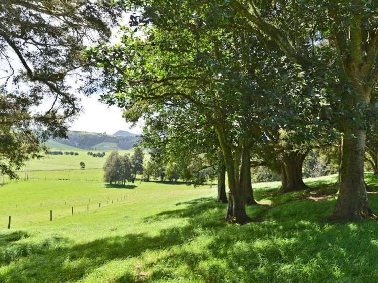 181 Apotu Road Kauri_18