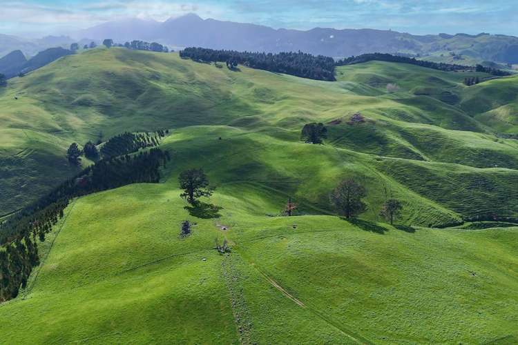 494B Dods Road Waikite Valley_6