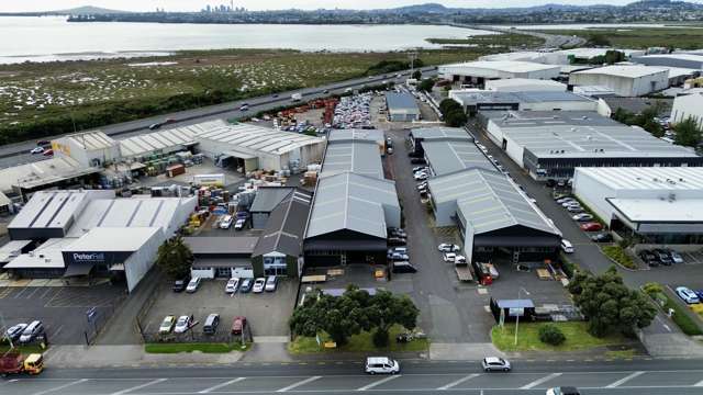 77A Patiki Road Avondale_2