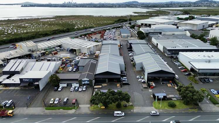 77A Patiki Road Avondale_2