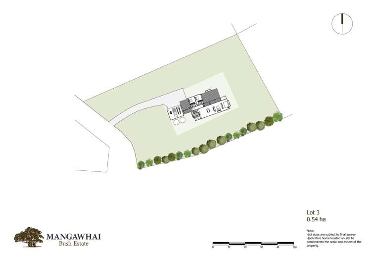 Mangawhai Bush Estate Mangawhai_14