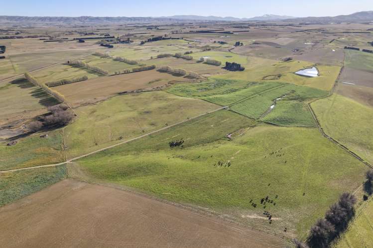 513 Bypass Road Ranfurly_9