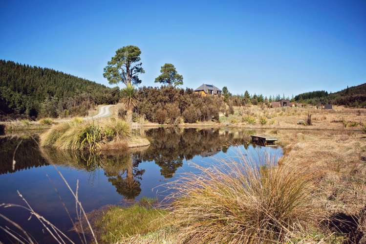 169 Mount Lyford Forest Drive Lyford_20