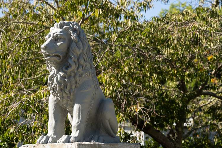 143 Valley Road Mangapapa_22