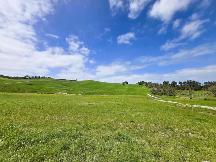 3050 Mititai Road Dargaville_9