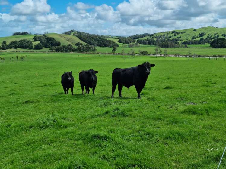 1906 Pukehuia Road Arapohue_16