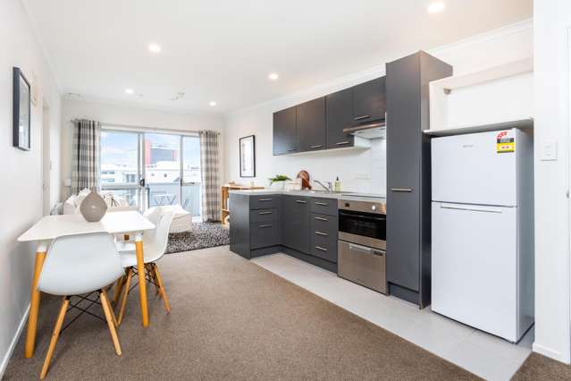 4D/1 Ophir Street Grey Lynn_3