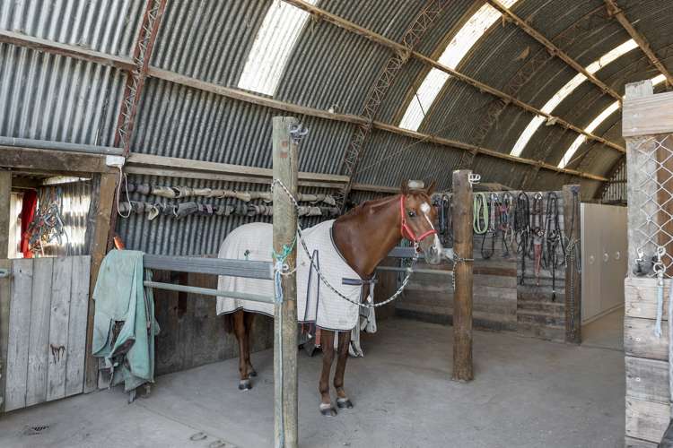 1/39 Maungakawa Road Cambridge_15