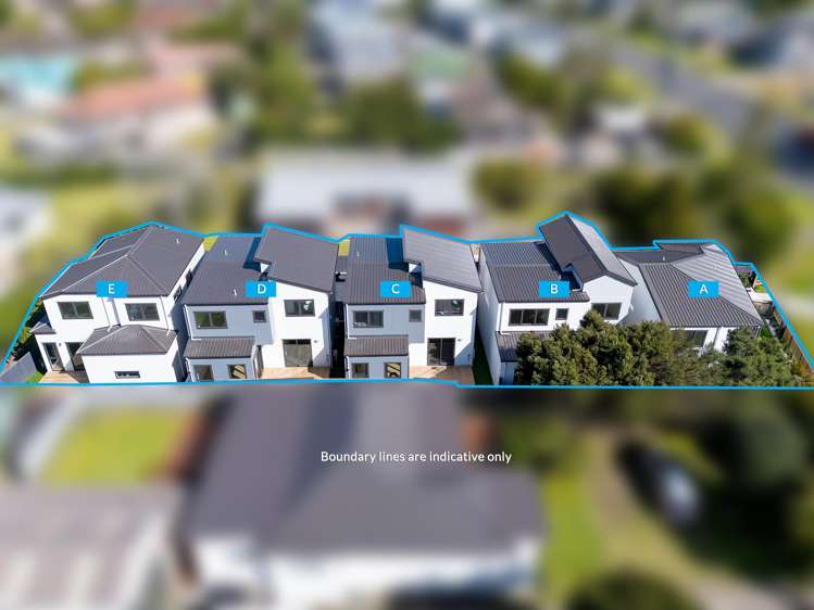 334C Swanson Road Ranui_5